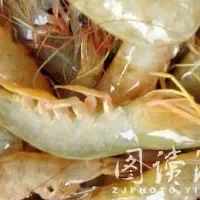 湛江虾