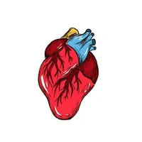 心脏供血不足的症状 心脏供血不足有什么症状