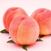 桃子的功效与作用 吃桃子的好处