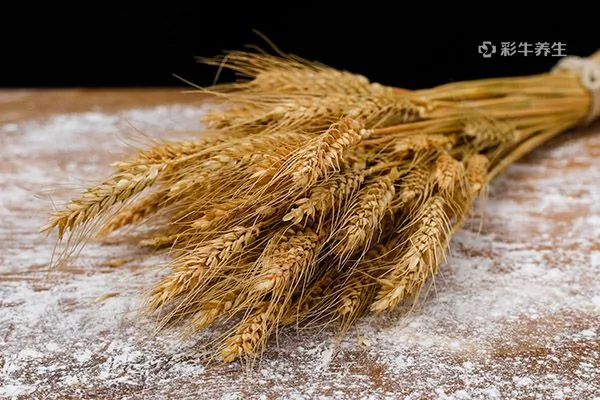 小麦1.jpg